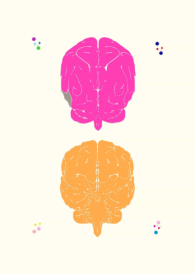 Brain