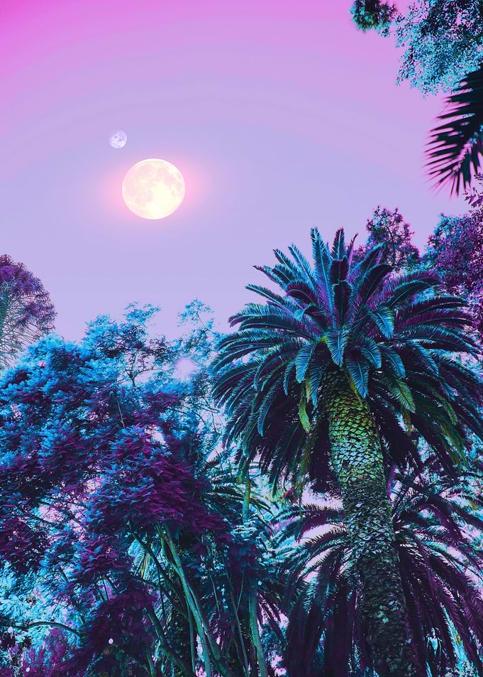 Summer Darkness