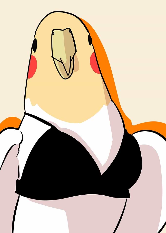 sexy bird