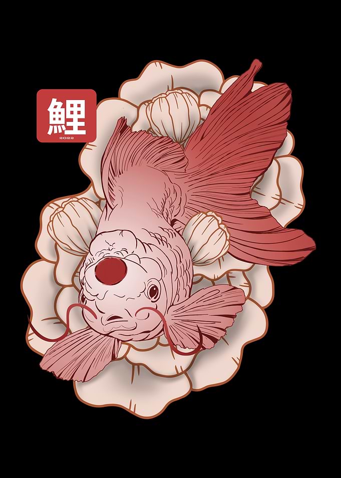 Japanese Koi Fish