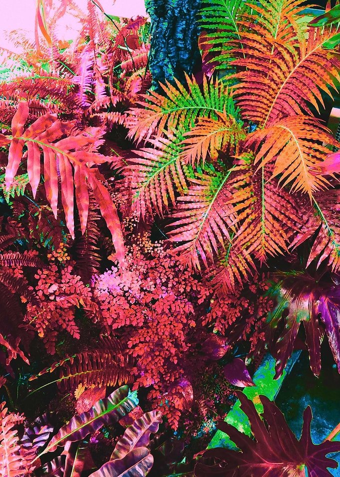 Warm Forest