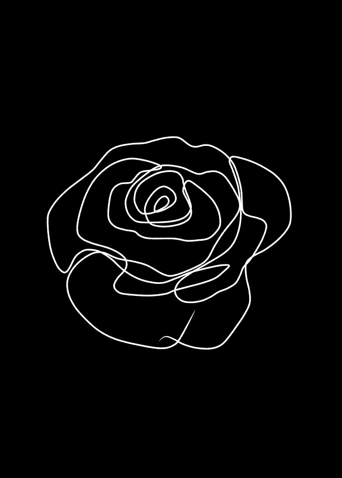 rose flower line art