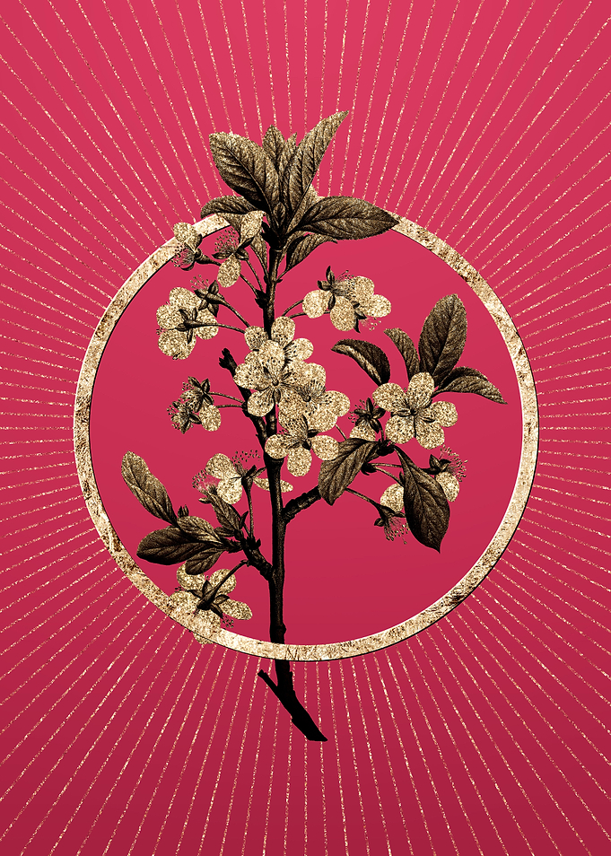 Gold White Plum Flower
