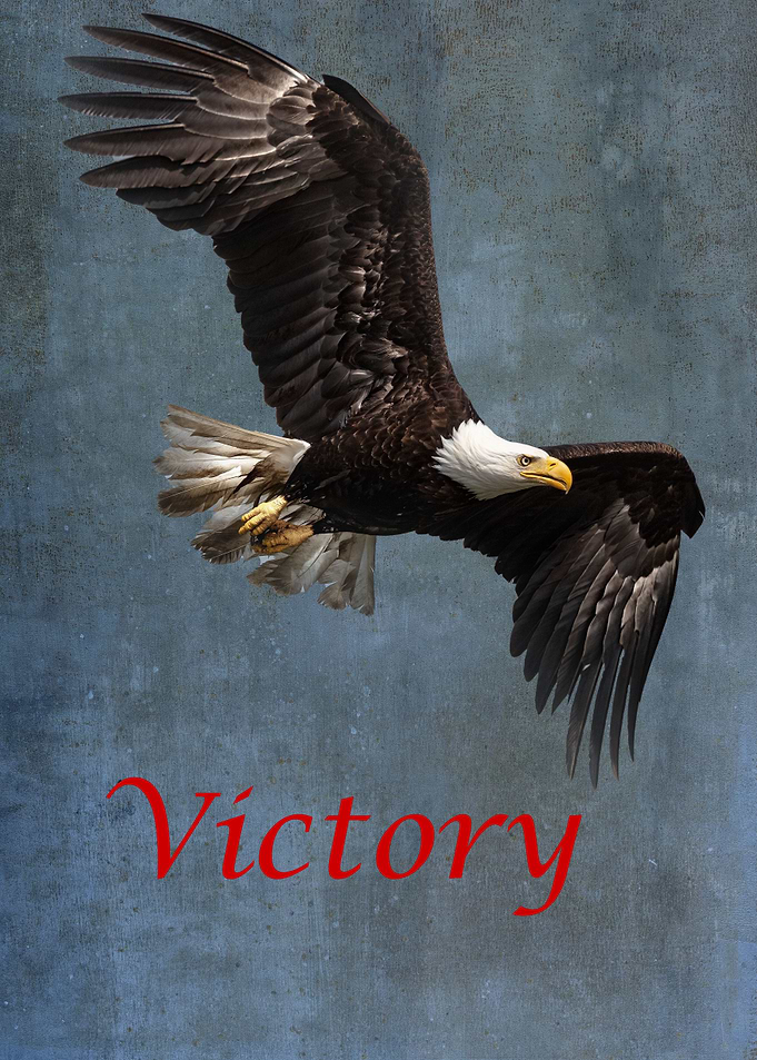 Victory