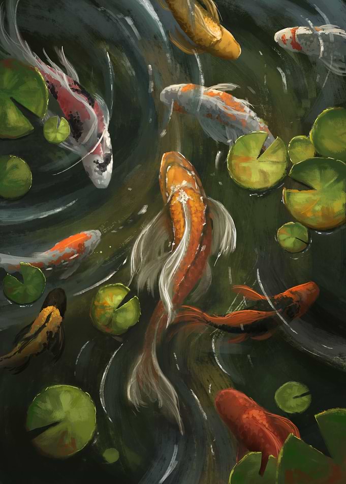 Koi