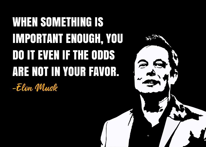 Elon Musk Quote