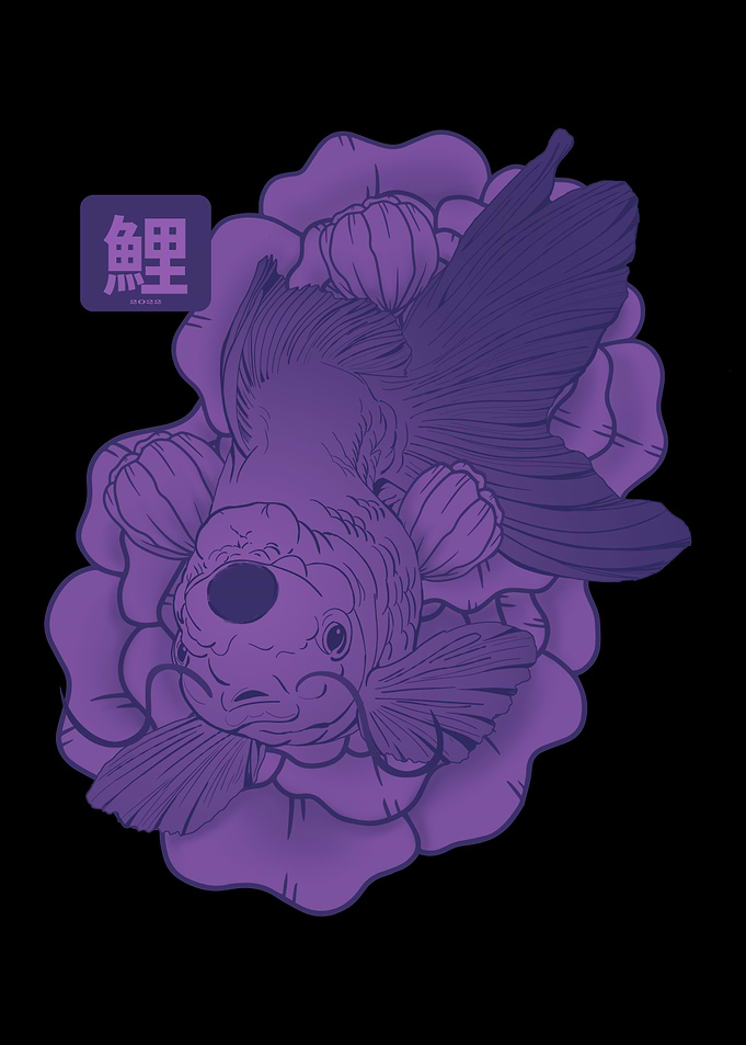 Japanese Koi Fish