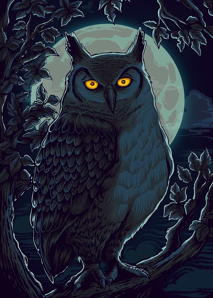 Great Horned Owl