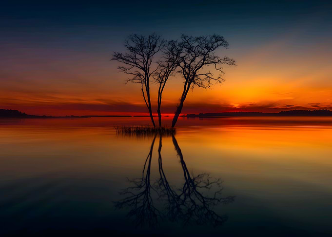 reflection