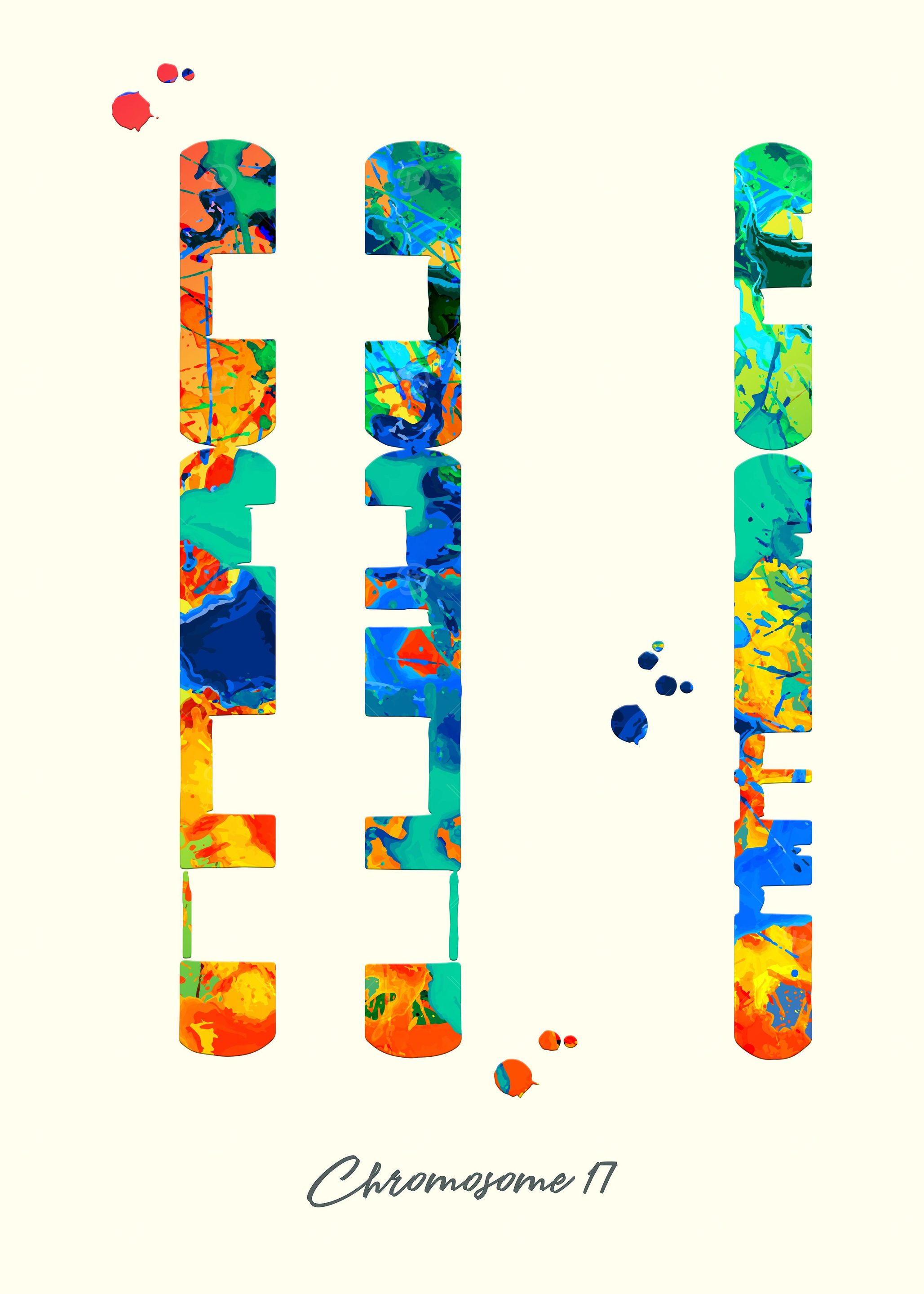 Chromosome 17
