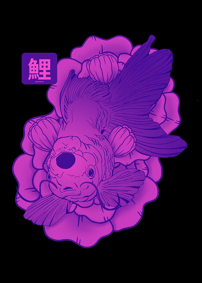 Japanese Koi Fish