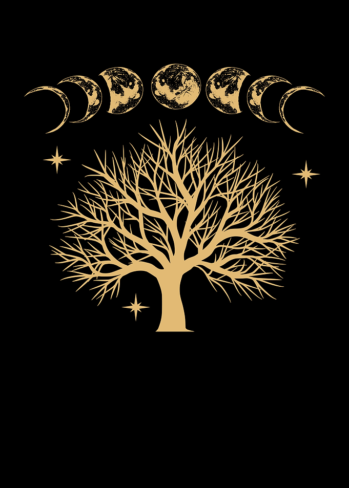Moon Phase