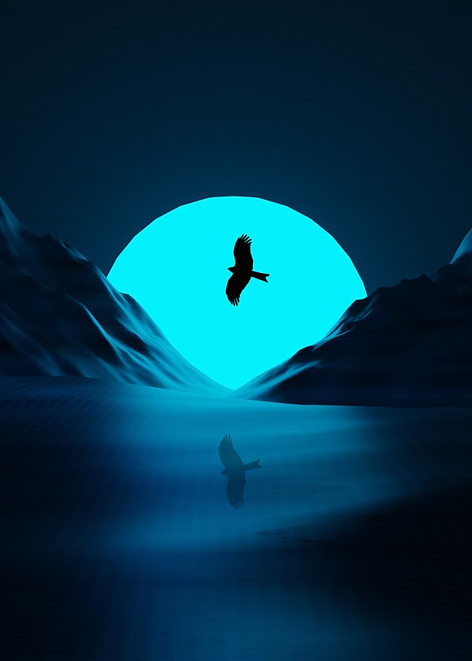the bird and the blue moon