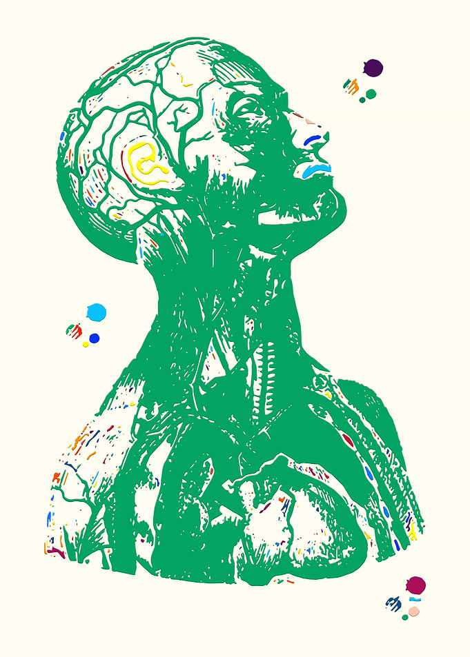 Human Head
