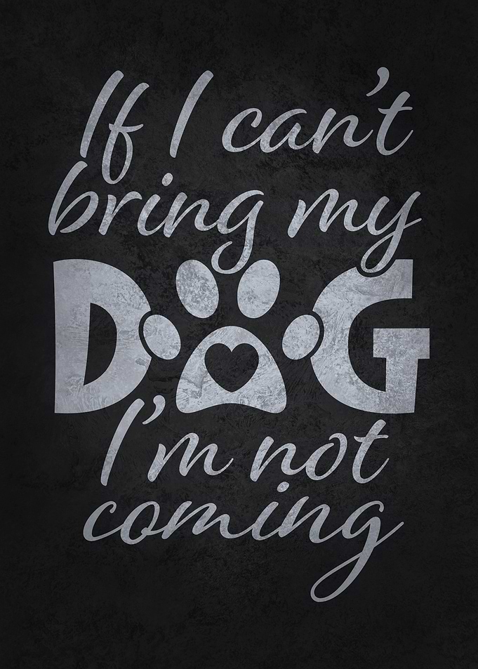 Bring My Dog