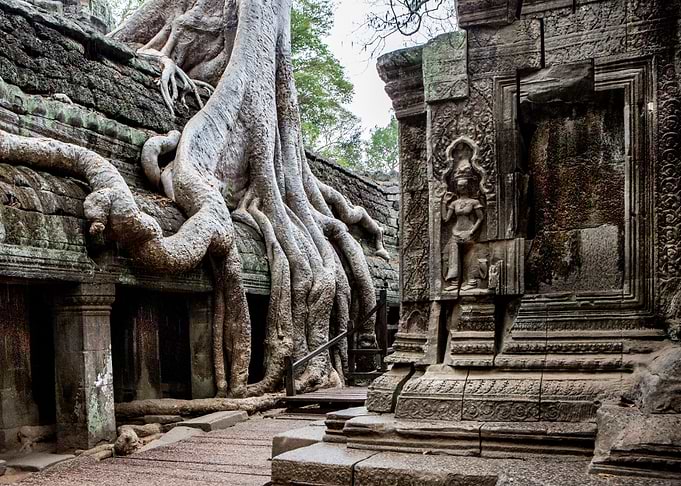 Ta Prohm Temple