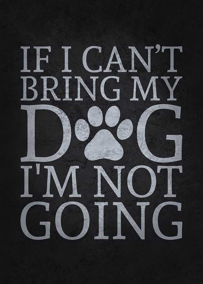 Bring My Dog vs Not Come