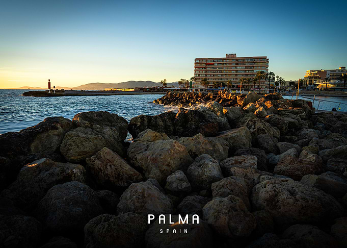 Palma