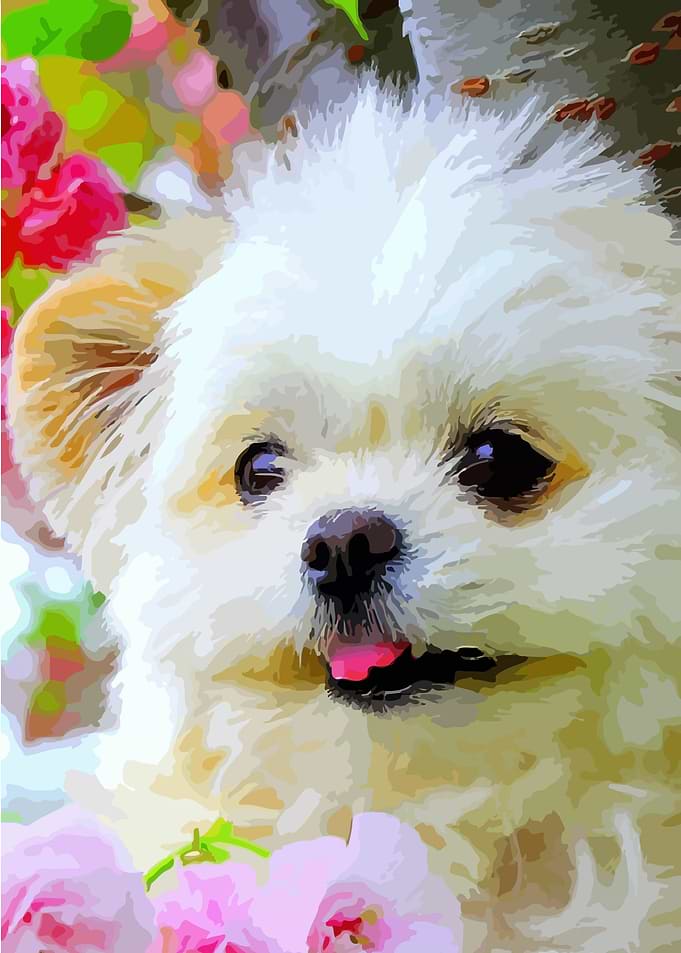 Cute Dog