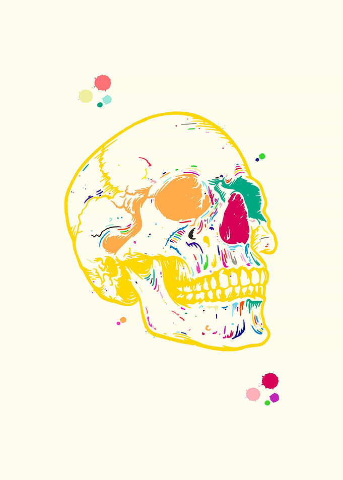 Human Skull