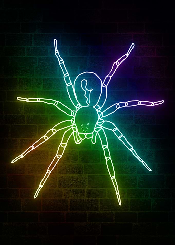 Spider Neon Animals