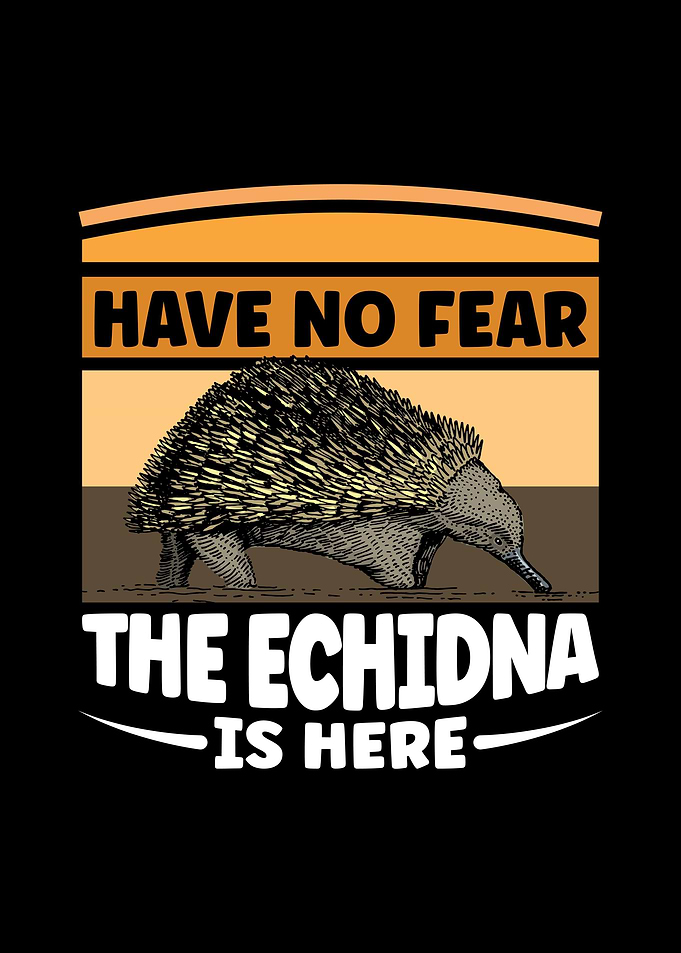 Echidna