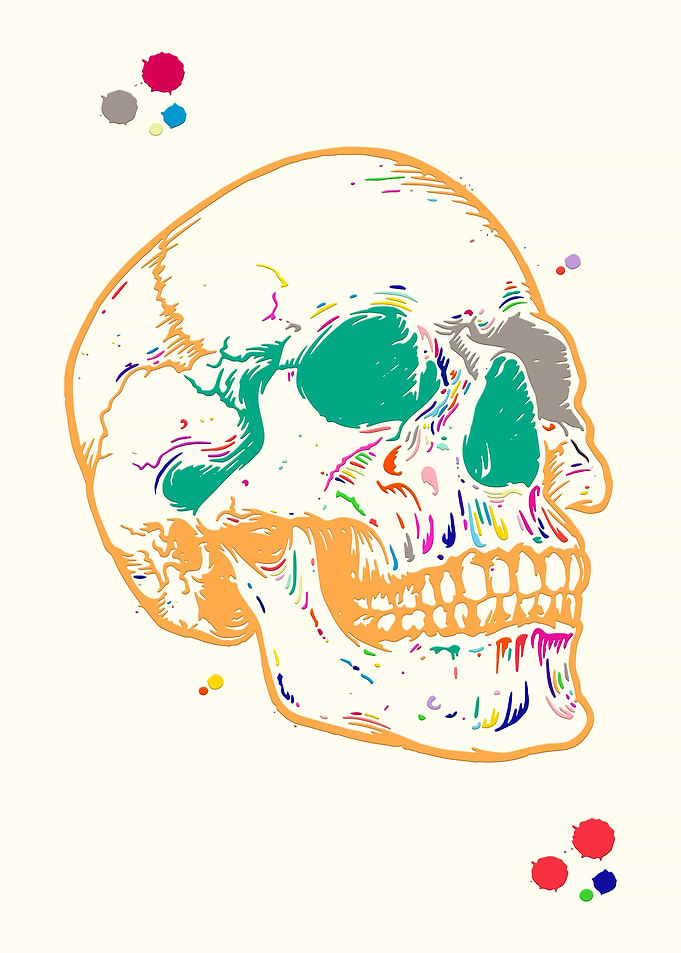 Human Skull