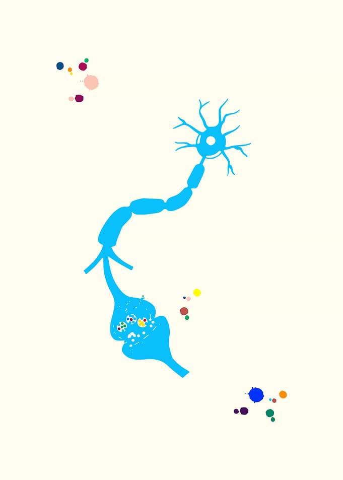 Neuron and Receptor