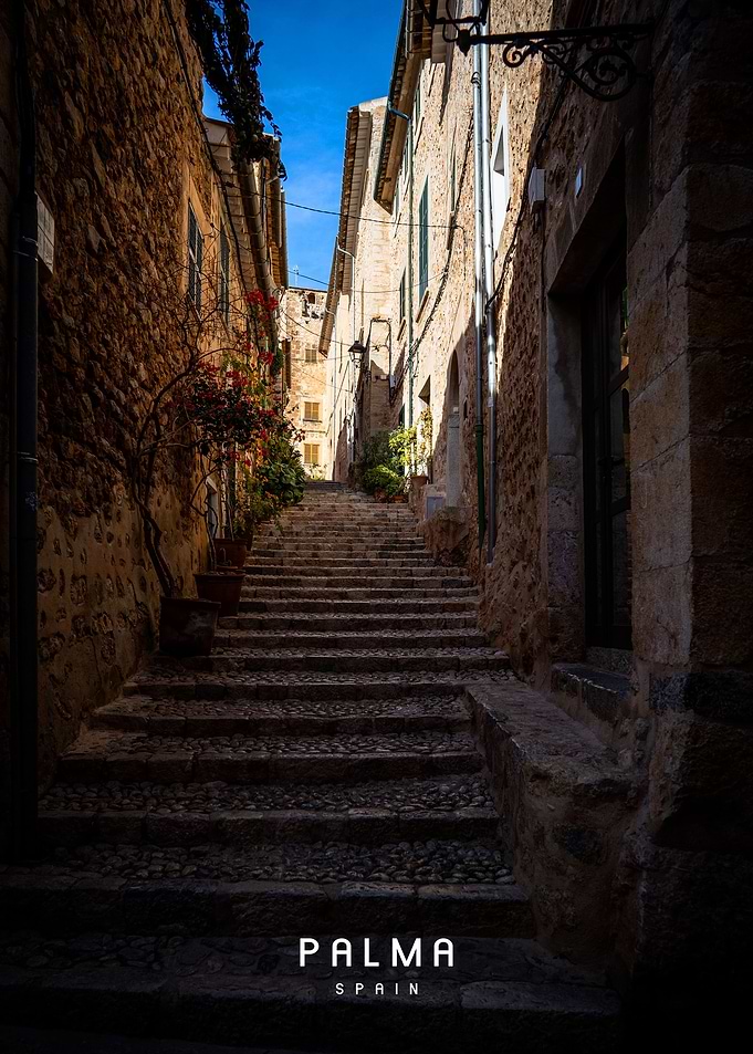 Palma