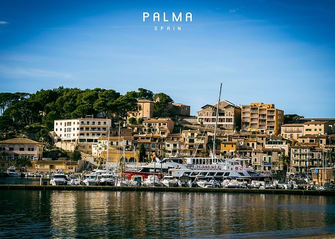 Palma
