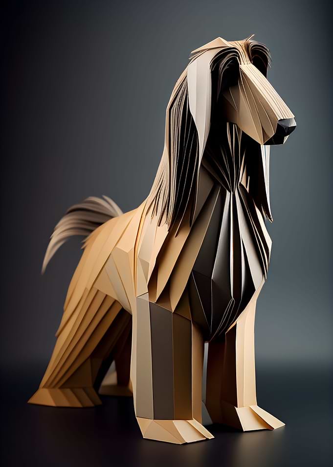 Afghan Hound