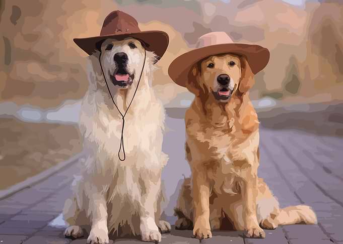 Two Dog