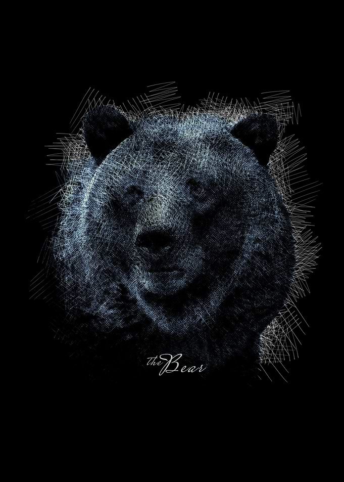 The Bear
