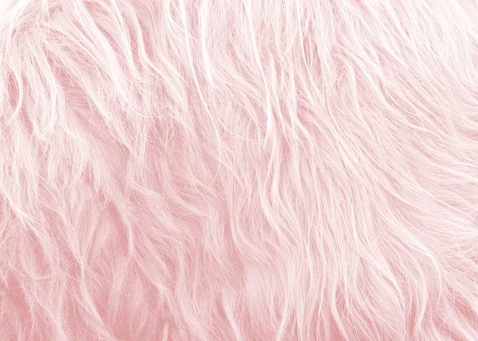 Blush Faux Highland Cow 1