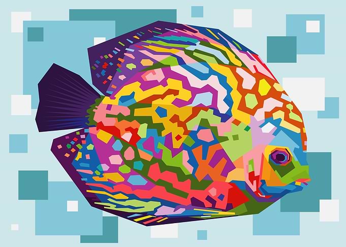 colorful discus fish