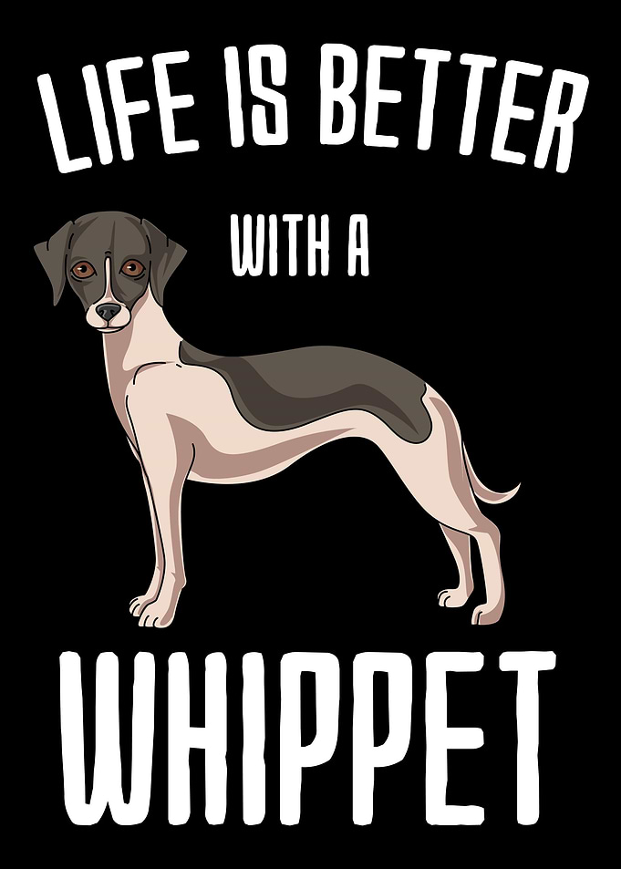 Life Is Better With A Whip
