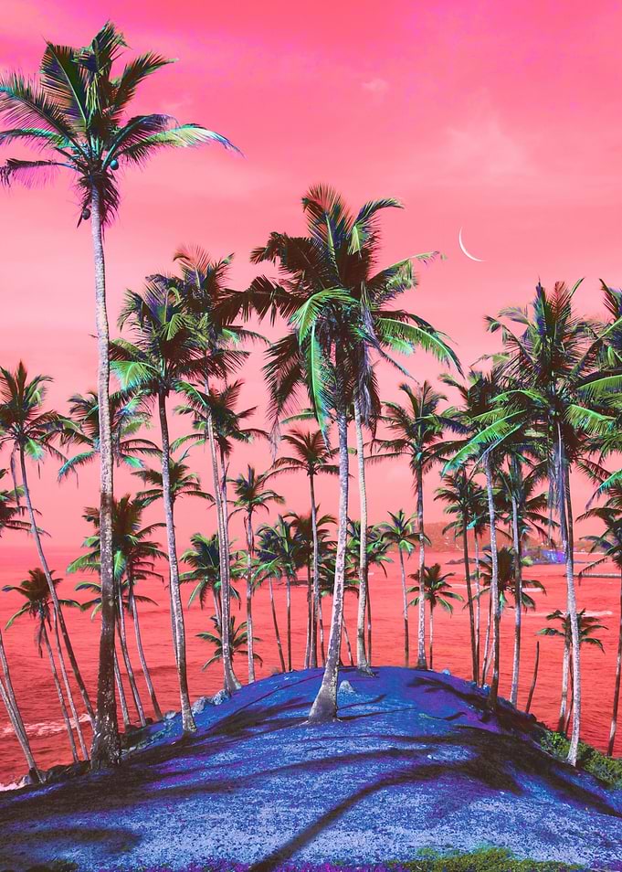 Red Dreams