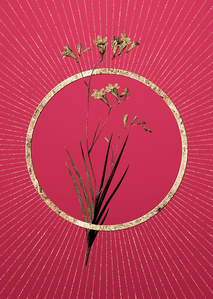 Freesia on Viva Magenta