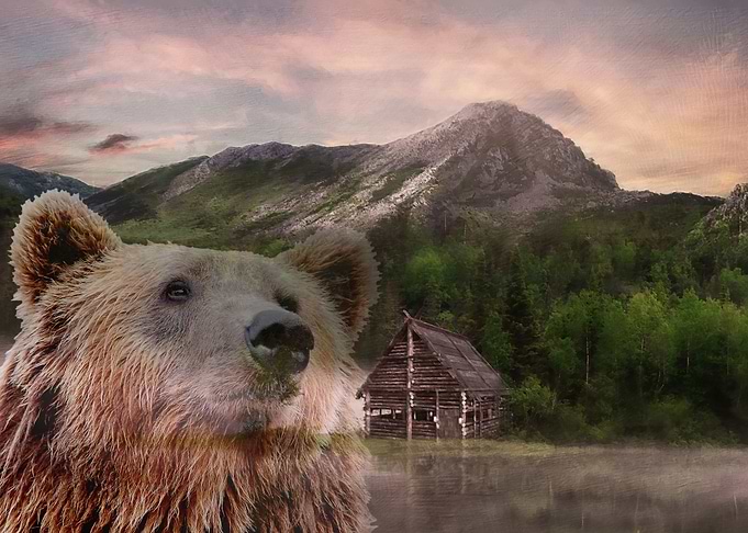 Grizzly Bear and Wildernes