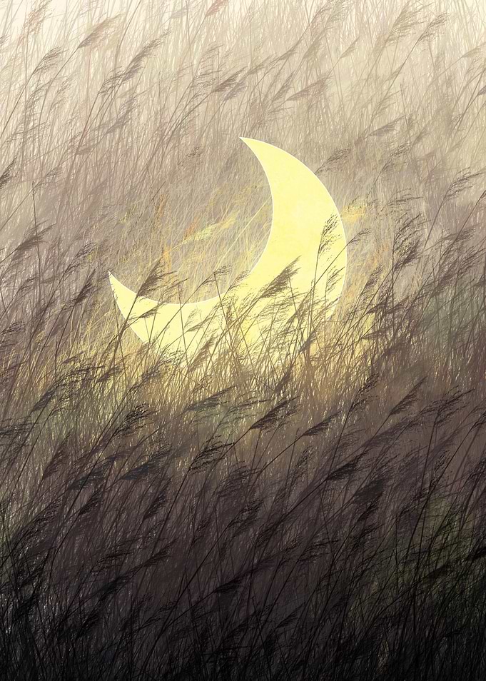 the bird and the blue moon