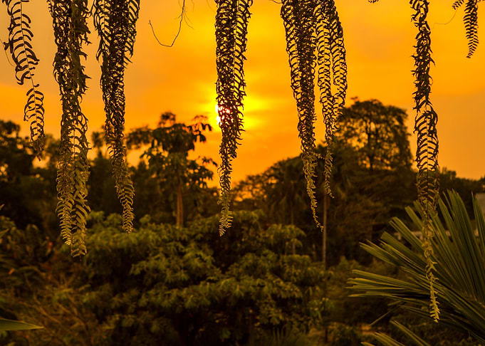 Cambodian Sunset