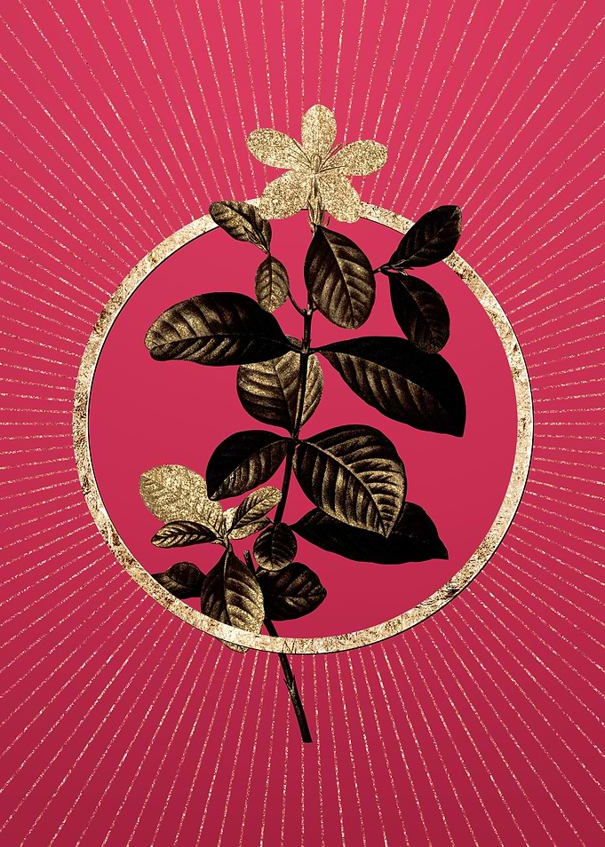 Gardenia on Viva Magenta