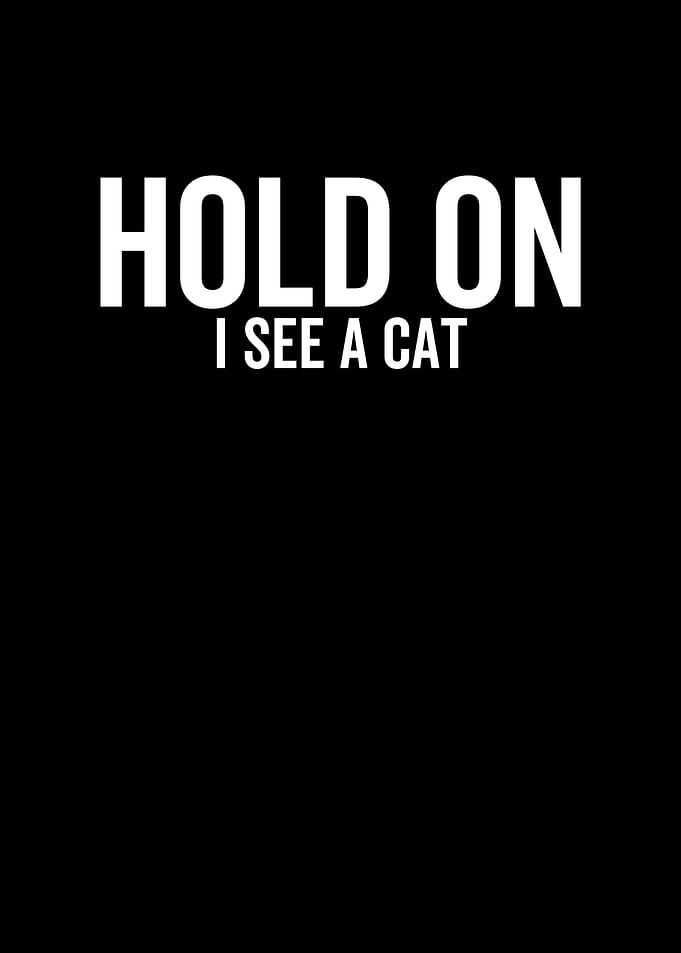 Hold On I See a Cat
