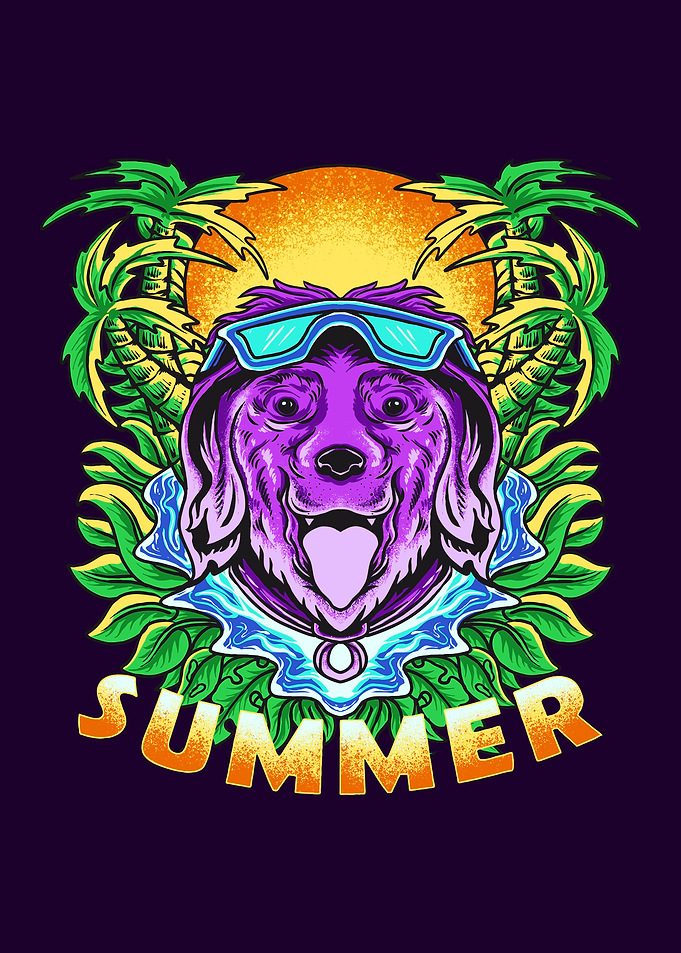 Dog swimming in summer
