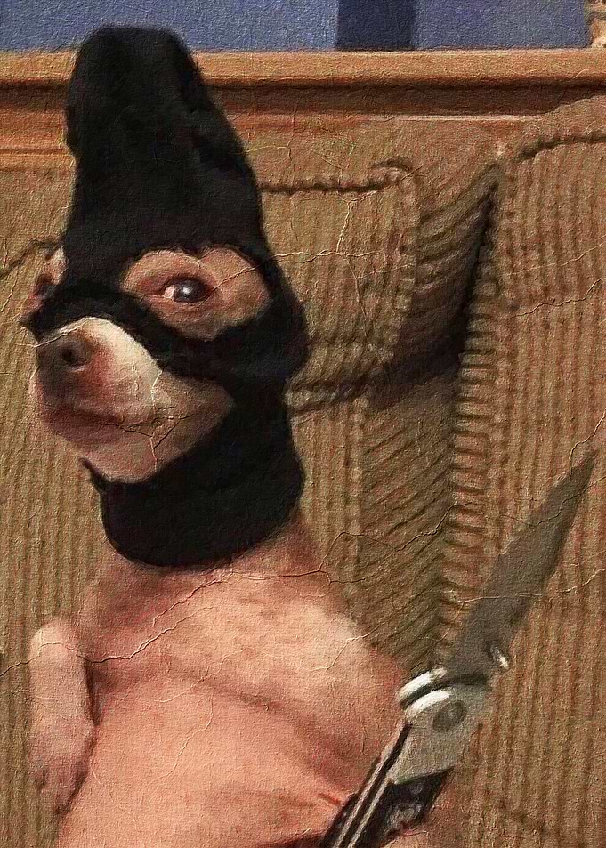 Dog meme