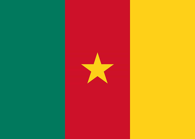 Flag of Cameroon