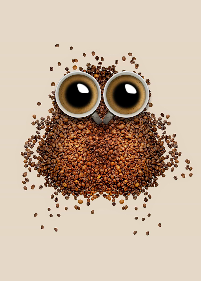 Cute Coffee Owl