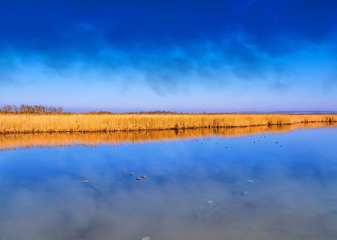 FEDERSEE