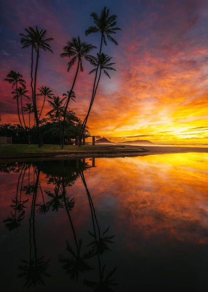 Paradise Found