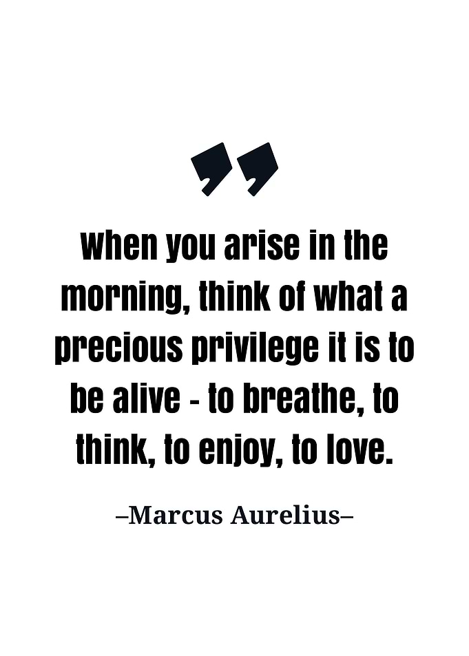Marcus Aurelius quote
